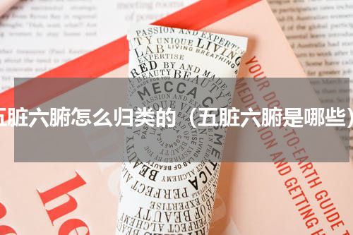 五脏六腑怎么归类的（五脏六腑是哪些）