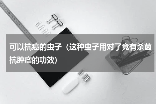 可以抗癌的虫子（这种虫子用对了竟有杀菌抗肿瘤的功效）