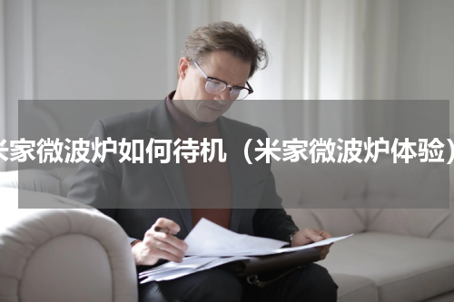 米家微波炉如何待机（米家微波炉体验）