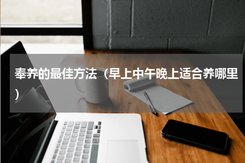 奉养的最佳方法（早上中午晚上适合养哪里）