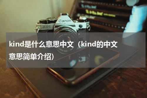 kind是什么意思中文（kind的中文意思简单介绍）