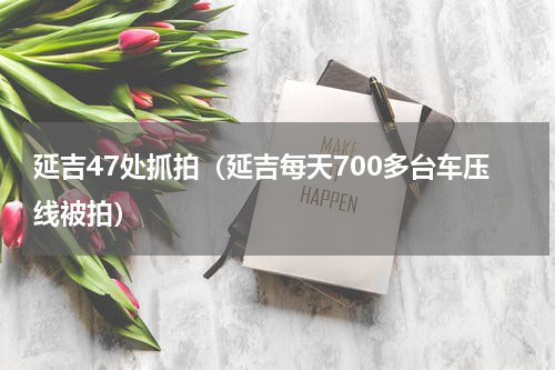 延吉47处抓拍（延吉每天700多台车压线被拍）