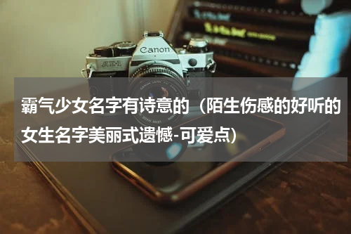 霸气少女名字有诗意的（陌生伤感的好听的女生名字美丽式遗憾-可爱点）
