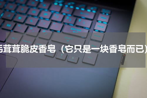 毛茸茸脆皮香皂（它只是一块香皂而已）