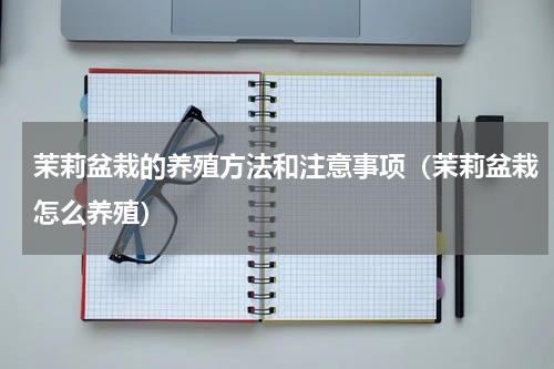 茉莉盆栽的养殖方法和注意事项（茉莉盆栽怎么养殖）