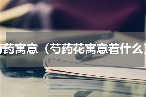 芍药寓意（芍药花寓意着什么）