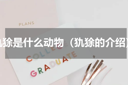 犰狳是什么动物（犰狳的介绍）
