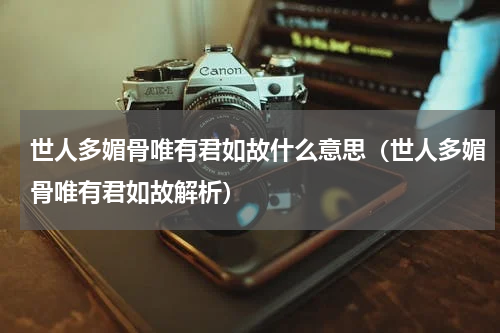 世人多媚骨唯有君如故什么意思（世人多媚骨唯有君如故解析）
