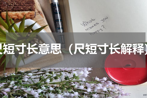 尺短寸长意思（尺短寸长解释）