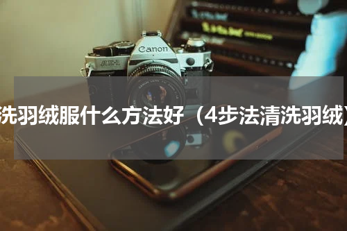 清洗羽绒服什么方法好（4步法清洗羽绒）