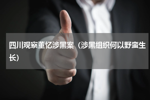 四川观察董忆涉黑案（涉黑组织何以野蛮生长）