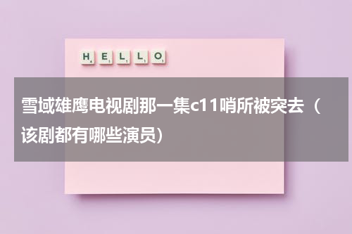 雪域雄鹰电视剧那一集c11哨所被突去（该剧都有哪些演员）