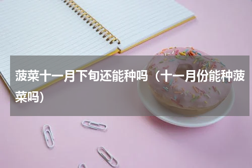 菠菜十一月下旬还能种吗（十一月份能种菠菜吗）