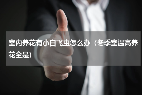 室内养花有小白飞虫怎么办（冬季室温高养花全是）