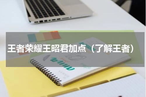 王者荣耀王昭君加点（了解王者）