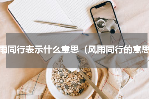 风雨同行表示什么意思（风雨同行的意思）