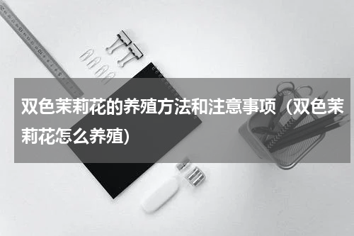 双色茉莉花的养殖方法和注意事项（双色茉莉花怎么养殖）