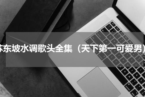 苏东坡水调歌头全集（天下第一可爱男）