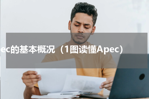 apec的基本概况（1图读懂Apec）