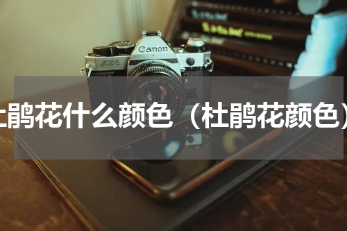 杜鹃花什么颜色（杜鹃花颜色）