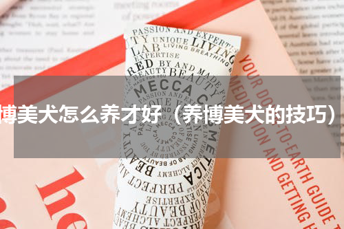 博美犬怎么养才好（养博美犬的技巧）