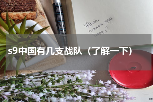 s9中国有几支战队（了解一下）