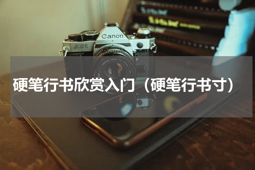 硬笔行书欣赏入门（硬笔行书寸）
