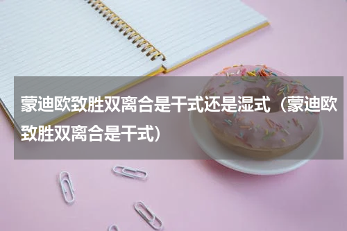 蒙迪欧致胜双离合是干式还是湿式（蒙迪欧致胜双离合是干式）