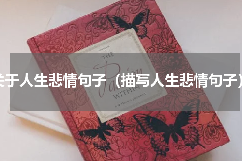 关于人生悲情句子（描写人生悲情句子）