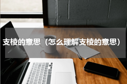 支棱的意思（怎么理解支棱的意思）