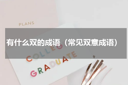 有什么双的成语（常见双意成语）