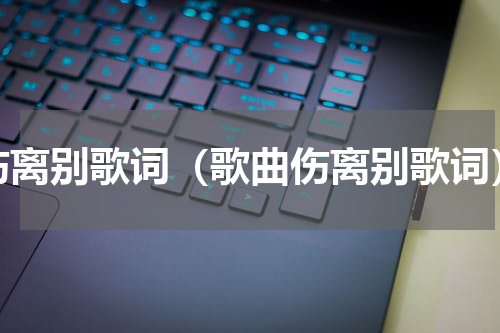 伤离别歌词（歌曲伤离别歌词）