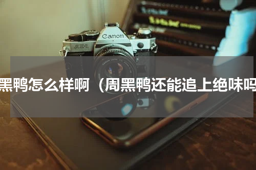 周黑鸭怎么样啊（周黑鸭还能追上绝味吗）