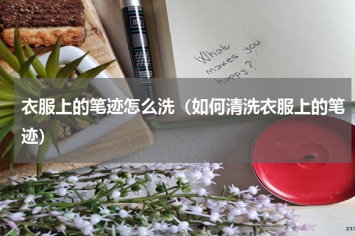 衣服上的笔迹怎么洗（如何清洗衣服上的笔迹）