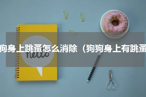 狗狗身上跳蚤怎么消除（狗狗身上有跳蚤）