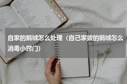 自家的鹅绒怎么处理（自己家拔的鹅绒怎么消毒小窍门）