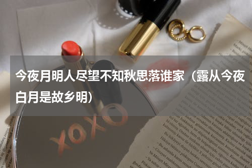 今夜月明人尽望不知秋思落谁家（露从今夜白月是故乡明）