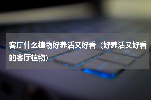 客厅什么植物好养活又好看（好养活又好看的客厅植物）