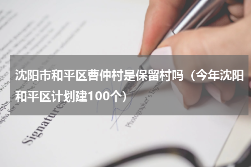 沈阳市和平区曹仲村是保留村吗（今年沈阳和平区计划建100个）