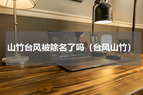 山竹台风被除名了吗（台风山竹）