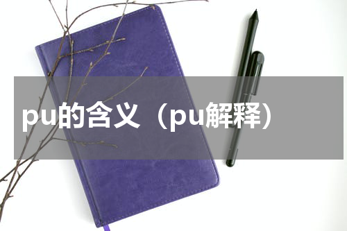 pu的含义（pu解释）
