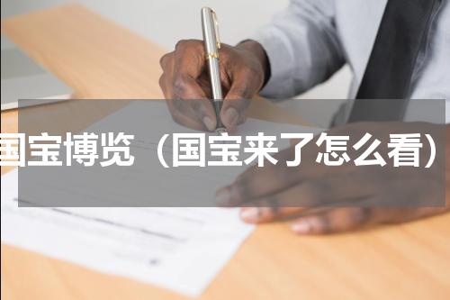 国宝博览（国宝来了怎么看）