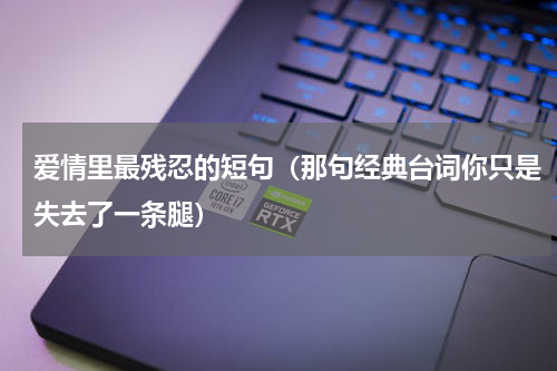 爱情里最残忍的短句（那句经典台词你只是失去了一条腿）