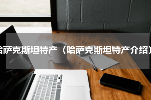 哈萨克斯坦特产（哈萨克斯坦特产介绍）