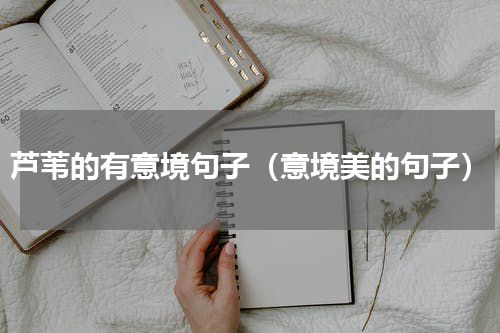 芦苇的有意境句子（意境美的句子）