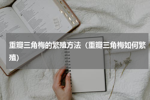 重瓣三角梅的繁殖方法（重瓣三角梅如何繁殖）