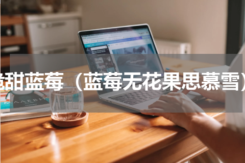 脆甜蓝莓（蓝莓无花果思慕雪）
