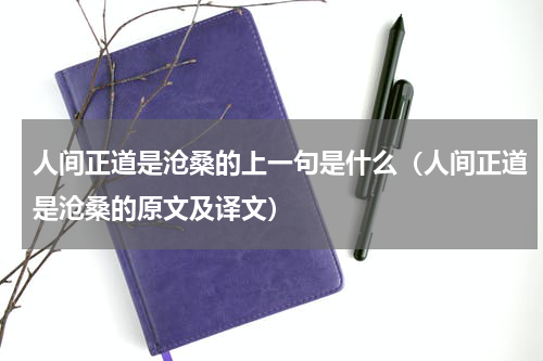 人间正道是沧桑的上一句是什么（人间正道是沧桑的原文及译文）