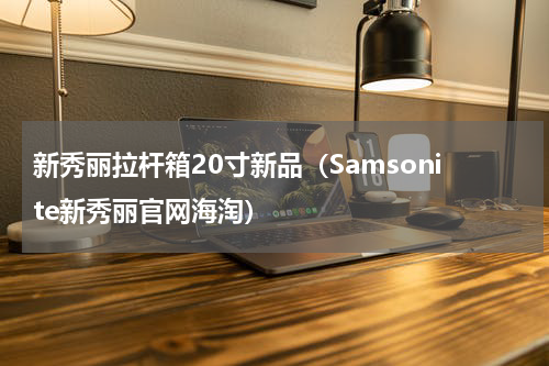 新秀丽拉杆箱20寸新品（Samsonite新秀丽官网海淘）