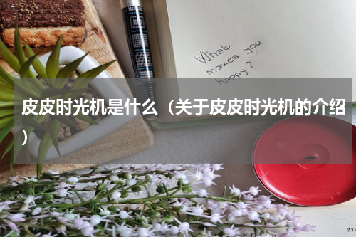 皮皮时光机是什么（关于皮皮时光机的介绍）
